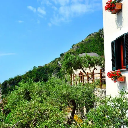 World Center Bed and Breakfast 4*