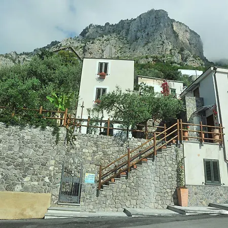 Bed and Breakfast World Center 4*