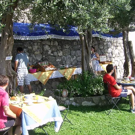 Bed and Breakfast World Center 4*