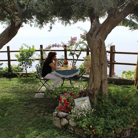 Bed and Breakfast World Center 4*