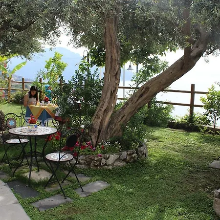 Bed and Breakfast World Center