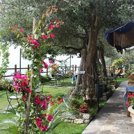 Bed and Breakfast World Center