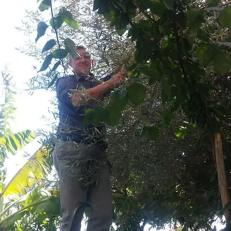 World Center Bed and Breakfast Αμάλφι