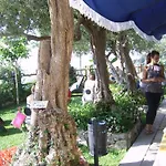 World Center
