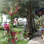 Bed and breakfast World Center