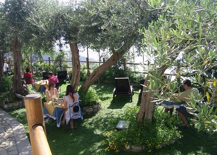 월드 센터 아말피