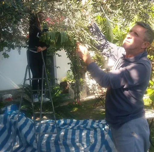 월드 센터 B&B 아말피