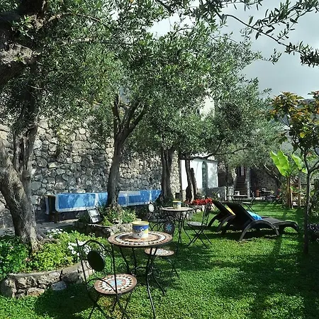 World Center أمالفي