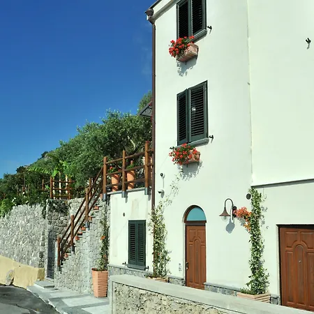 World Center فندق مبيت وإفطار