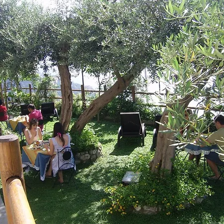 World Center أمالفي